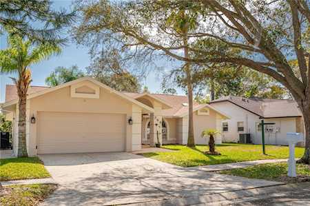 756 Brittany Park Blvd Tarpon Springs, FL 34689
