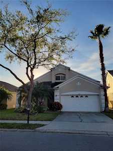 2623 Palesta Dr Trinity, FL 34655