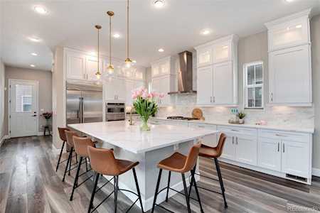 1046 Brocade Dr Highlands Ranch, CO 80126