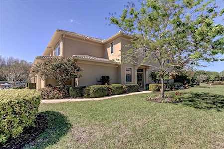 2529 Tranquility Dr Palm Harbor, FL 34684