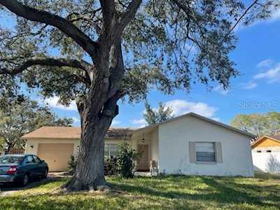 11206 Larkwood WAY Tampa, FL 33625