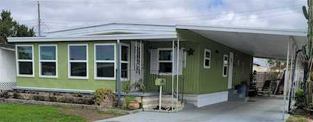 1836 Pleasure Dr Holiday, FL 34691