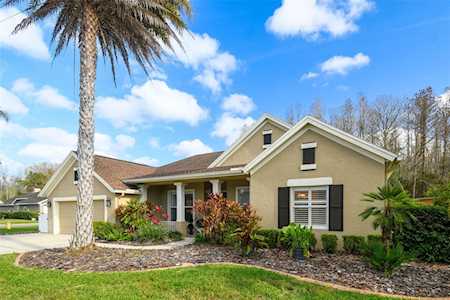 1025 Maravista Dr Trinity, FL 34655
