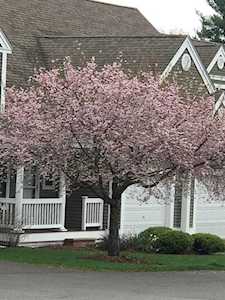 7 Jackson Ct #7 Uxbridge, MA 01569