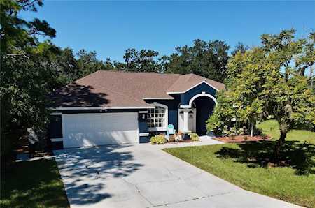 4419 Konga Ct New Port Richey, FL 34655