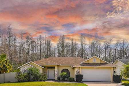 8520 Cypress Lakes Blvd New Port Richey, FL 34653