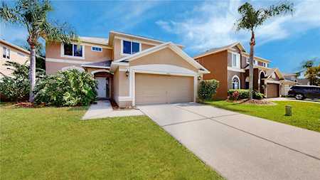 4846 Trinidad Dr Land O Lakes, FL 34639
