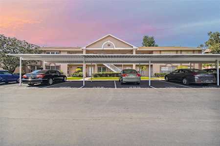 6527 Spring Flower Dr #11 New Port Richey, FL 34653