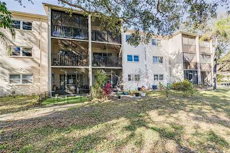 845 Maple Ct #103 Dunedin, FL 34698