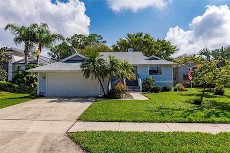 1004 Osprey Ct Tarpon Springs, FL 34689