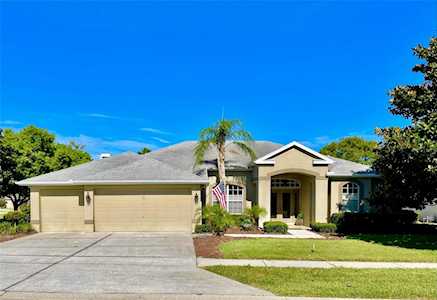 10316 Velvetseed CIRCLE Spring Hill, FL 34608