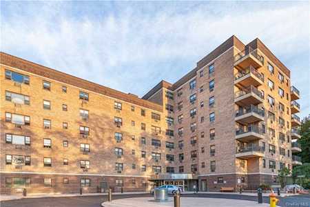 505 Central Avenue #620 White Plains, NY 10606