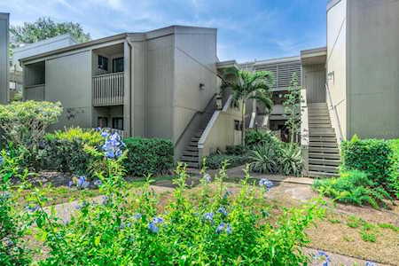 111 Woodland PLACE Osprey, FL 34229