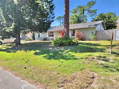 2936 Umbrella Tree Dr Edgewater, FL 32141