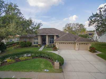 3763 Executive Dr Palm Harbor, FL 34685