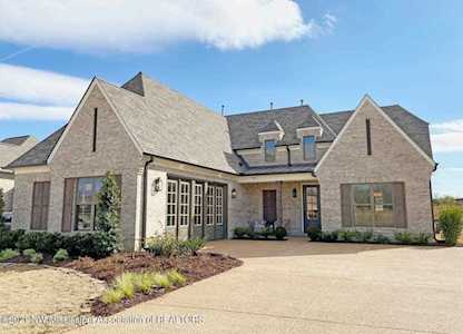 3075 Tina Renee Ln Nesbit, MS 38651