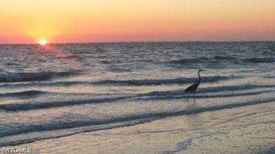 7360 Estero Blvd #604 Fort Myers Beach, FL 33931