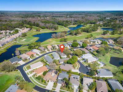 4380 Sawgrass Dr Palm Harbor, FL 34685