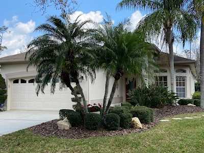 1499 Riverdale Dr Oldsmar, FL 34677