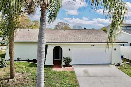 1787 E Grovehill Rd Palm Harbor, FL 34683