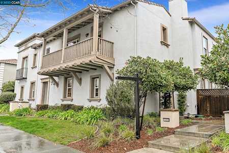 7490 Stoneleaf Road San Ramon, CA 94582