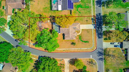 708 Willow Brook Ct Lutz, FL 33549