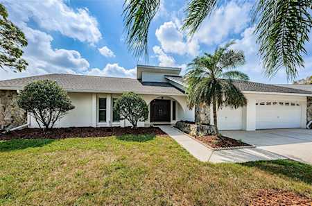 3777 Windber Blvd Palm Harbor, FL 34685