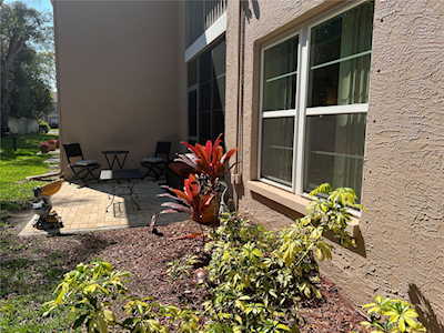 6635 Spring Flower Dr #11 New Port Richey, FL 34653