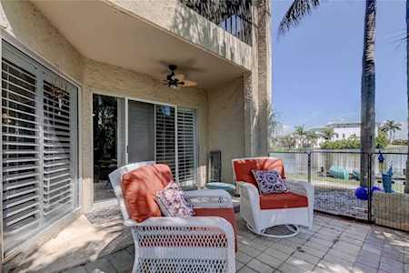 1005 S Bayshore Blvd #102 Safety Harbor, FL 34695