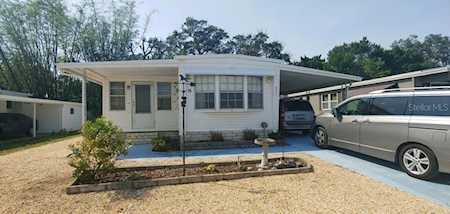 2331 Staghorn Dr Holiday, FL 34690