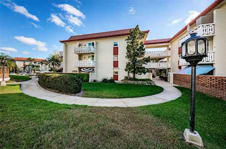 1012 Pearce Dr #207 Clearwater, FL 33764