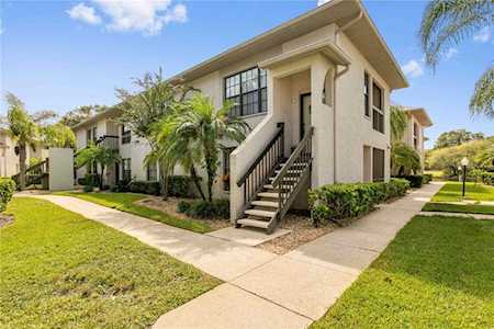 3366 Mermoor Dr #1101 Palm Harbor, FL 34685