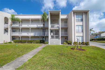 2625 State Road 590 #1324 Clearwater, FL 33759
