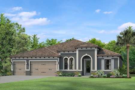 17812 Daisy Farm Dr Lutz, FL 33559