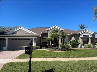 3101 Olivia Ct Land O Lakes, FL 34638