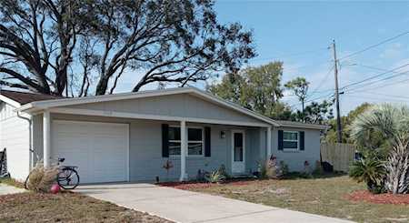4908 Fruitwood Loop Holiday, FL 34690