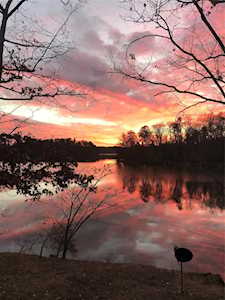 508 Nivens Cove Rd Mount Holly, NC 28120