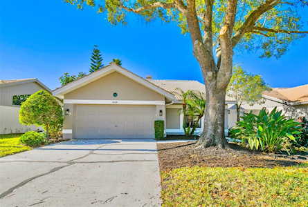 5539 Greyston St Palm Harbor, FL 34685