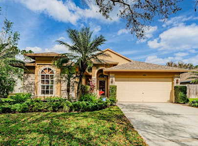426 Cypress View Dr Oldsmar, FL 34677