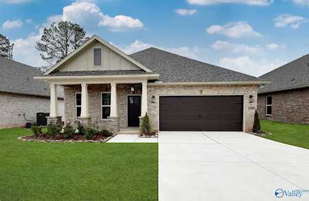 15715 NW Mizewell Lane Harvest, AL 35749