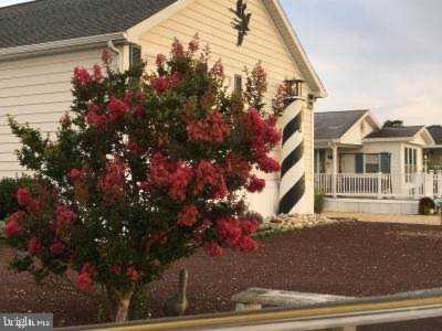 35122 South Dr #51731 Lewes, DE 19958