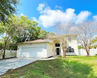 655 Cohn Ln Safety Harbor, FL 34695