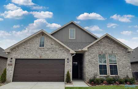 15716 NW Mizewell Lane Harvest, AL 35749