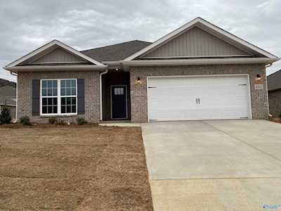 4003 SE Pride Mountain Drive Owens Cross Roads, AL 35763