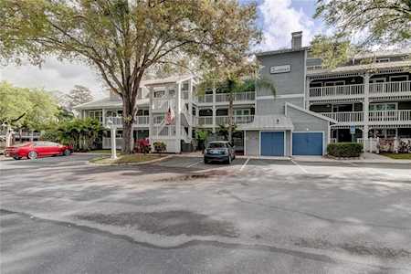 2577 Dolly Bay Dr #206 Palm Harbor, FL 34684