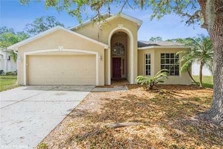 6333 Open Pasture Ct Wesley Chapel, FL 33545