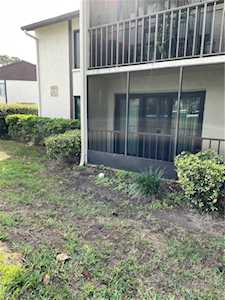 1882 Pine Ridge WAY W #A1 Palm Harbor, FL 34684
