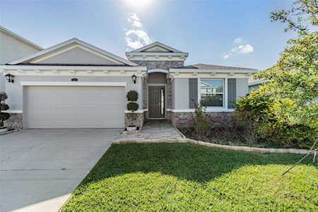 3177 Living Coral Dr Odessa, FL 33556