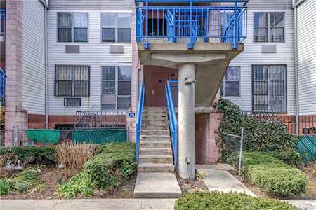 774 Brook Ave #B Bronx, NY 10451