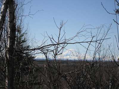 32385 Carlene St Soldotna, AK 99669